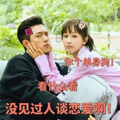 你是因为什么选择单身的呢？